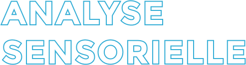 Mise au point produit / process