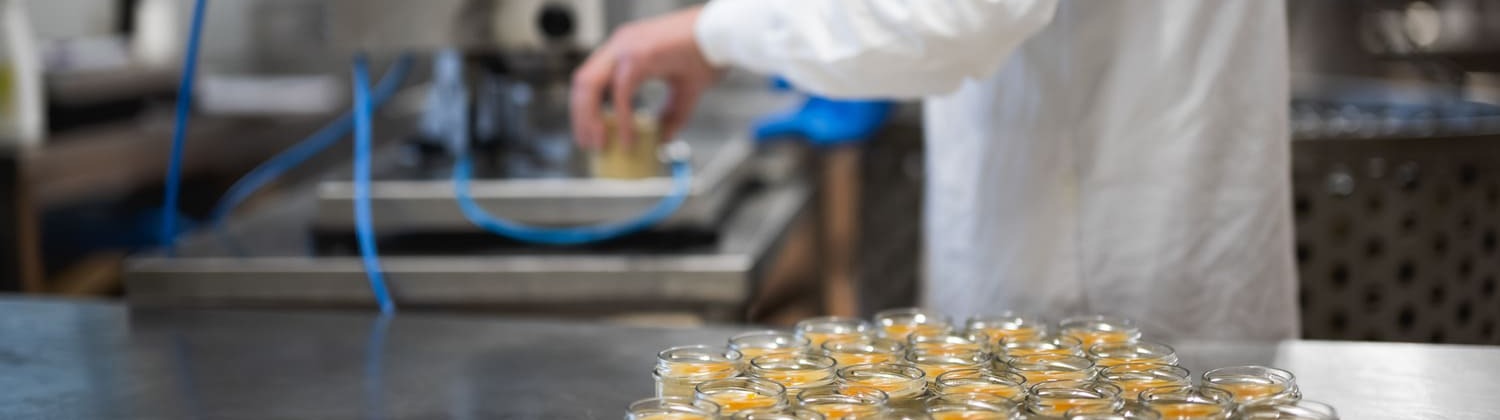 <p><strong>I AM A </strong></p>
<p><strong>BUSINESS</strong></p>
